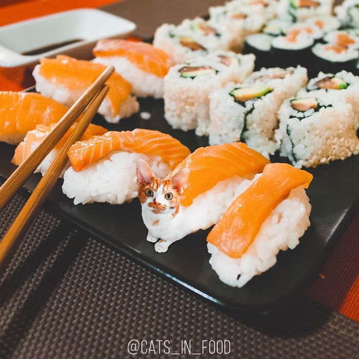 I Photoshop Cats Into Food