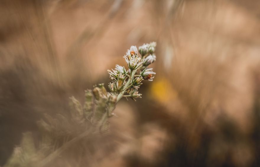 I Bought A 200$ Nikon DLSR Camera (With A 18-55mm Lens), And It Doesn't Matter What You Have For Getting Good Pictures...