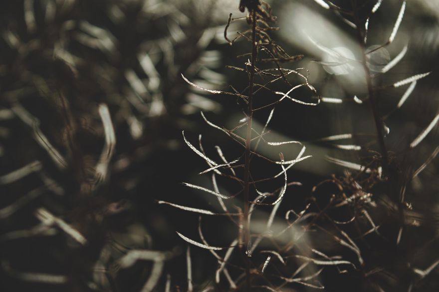 I Bought A 200$ Nikon DLSR Camera (With A 18-55mm Lens), And It Doesn't Matter What You Have For Getting Good Pictures...