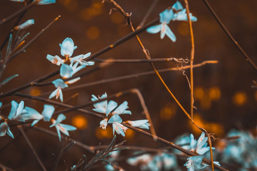 I Bought A 200$ Nikon DLSR Camera (With A 18-55mm Lens), And It Doesn't Matter What You Have For Getting Good Pictures...