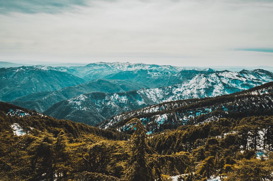 I Bought A 200$ Nikon DLSR Camera (With A 18-55mm Lens), And It Doesn't Matter What You Have For Getting Good Pictures...