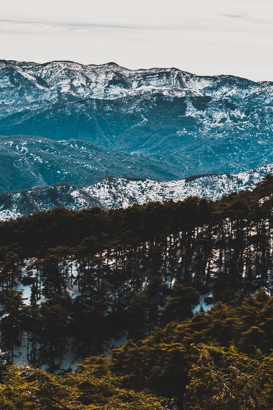 I Bought A 200$ Nikon DLSR Camera (With A 18-55mm Lens), And It Doesn't Matter What You Have For Getting Good Pictures...