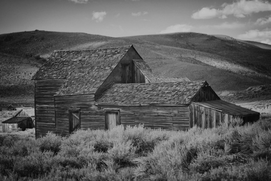 Bodie #8