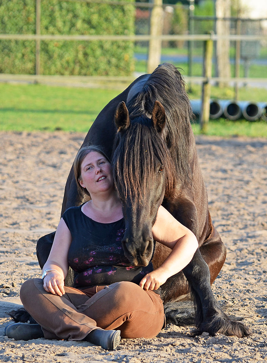 The Love And Trust Between These Horses And Owner Is Amazing