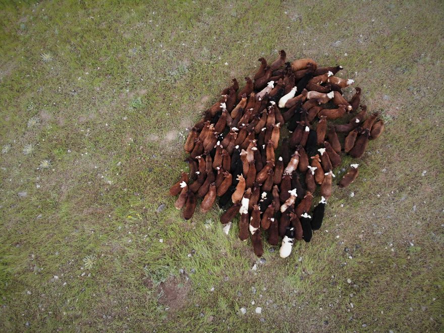 Discover Armenia Through A 4k Drone Footage Discover Armenia Through A 4k Drone Footage