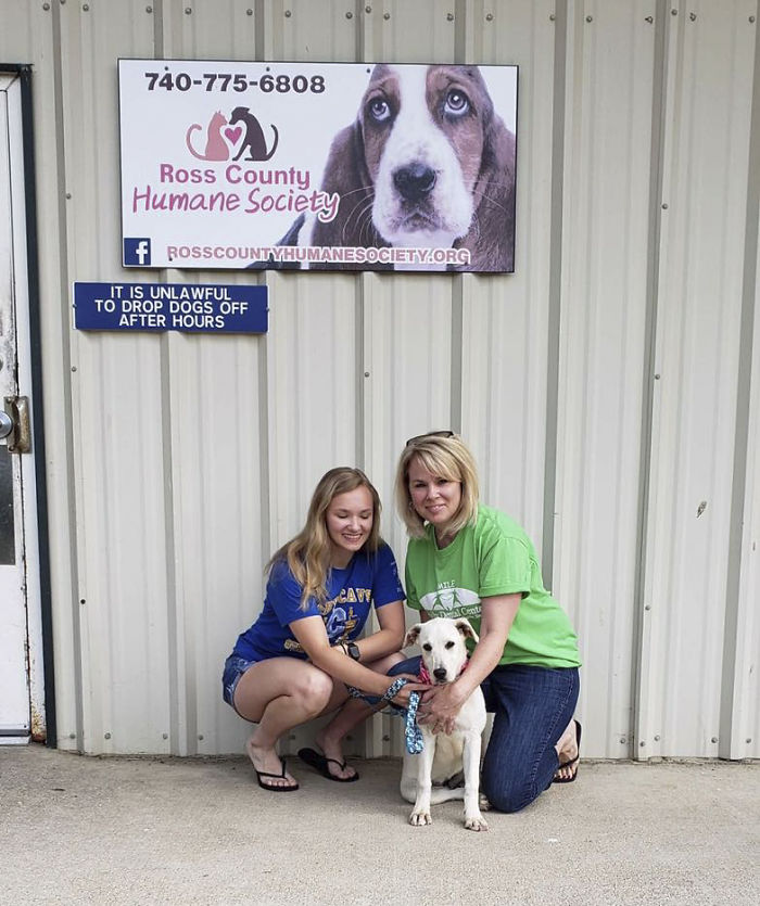 This Abandoned Dog Was Found Locked In A Cage At A Park, But It's Not The Worst Part Of Her Story This Abandoned Dog Was Found Locked In A Cage At A Park, But It's Not The Worst Part Of Her Story