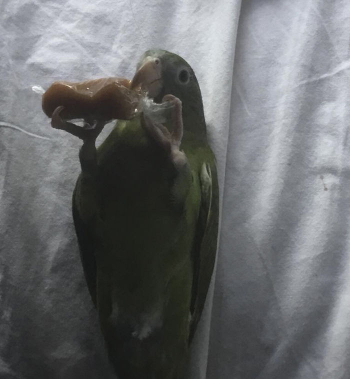 I Run A Small Animal Rescue: This Is What I See Every Day