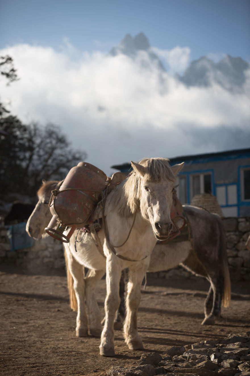 I Fulfilled A Life Dream By Volunteering In Nepal And Hiking The Worlds Most Epic Mountains