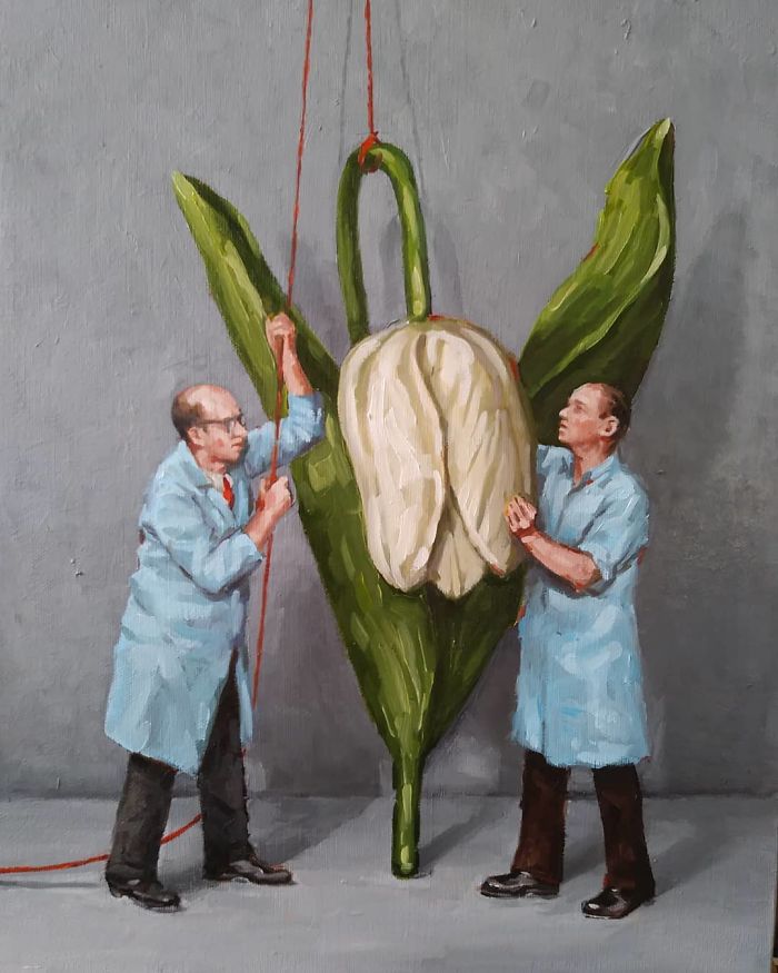 Toni Hamel Paintings