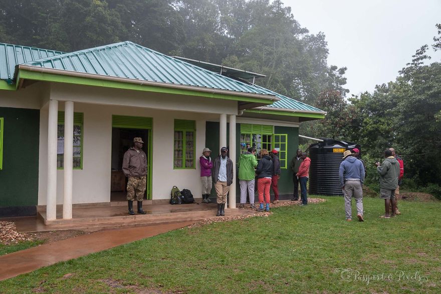 I Went Gorilla Tracking In The Pouring Rain In Uganda And Got Very Wet (But It Was Amazing)