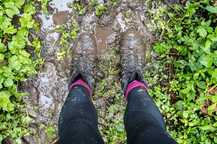 I Went Gorilla Tracking In The Pouring Rain In Uganda And Got Very Wet (But It Was Amazing)