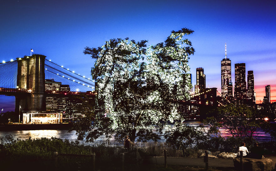 Artist Creates Incredible Portraits In Central Park Using Light Projections Artist Creates Incredible Portraits In Central Park Using Light Projections