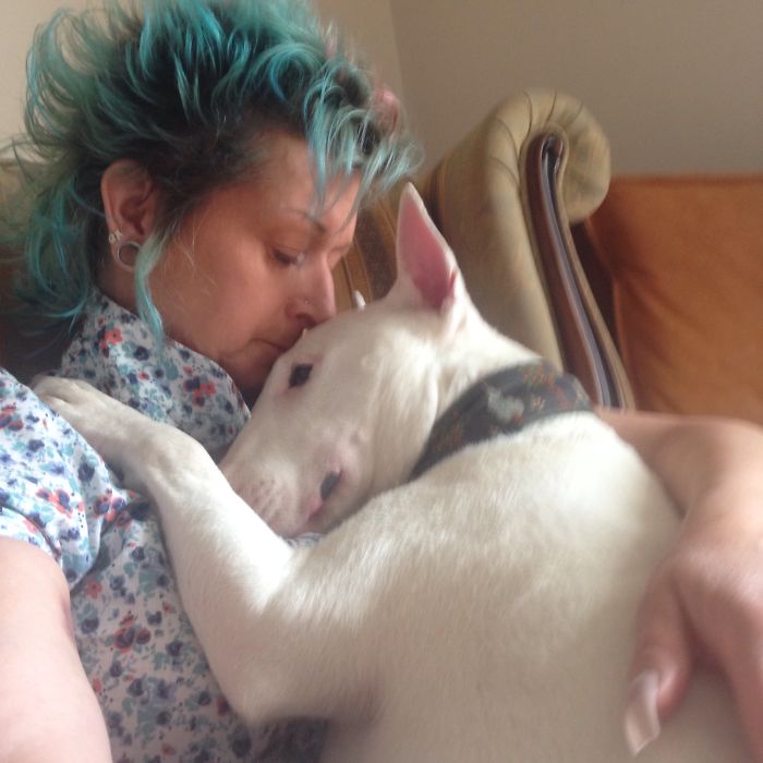 Husband Fed Up With The 30 Dogs His Wife Pets Asks Her To Choose Him Or The Dogs, And Probably Regrets It Afterwards Husband Fed Up With The 30 Dogs His Wife Pets Asks Her To Choose Him Or The Dogs, And Probably Regrets It Afterwards