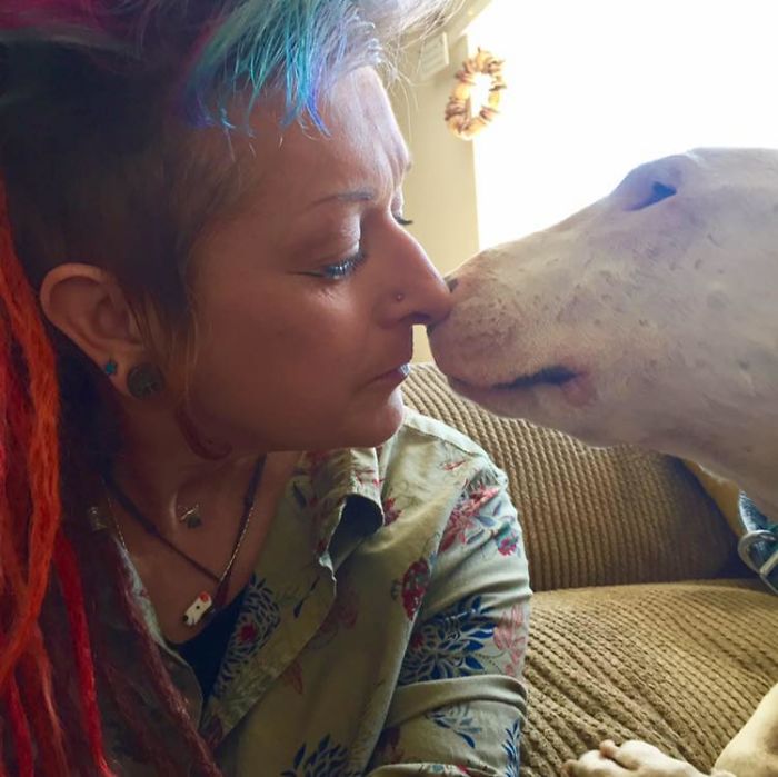 Husband Fed Up With The 30 Dogs His Wife Pets Asks Her To Choose Him Or The Dogs, And Probably Regrets It Afterwards