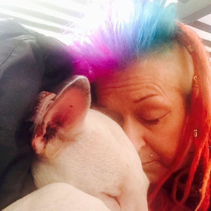 Husband Fed Up With The 30 Dogs His Wife Pets Asks Her To Choose Him Or The Dogs, And Probably Regrets It Afterwards