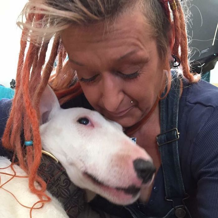 Husband Fed Up With The 30 Dogs His Wife Pets Asks Her To Choose Him Or The Dogs, And Probably Regrets It Afterwards Husband Fed Up With The 30 Dogs His Wife Pets Asks Her To Choose Him Or The Dogs, And Probably Regrets It Afterwards