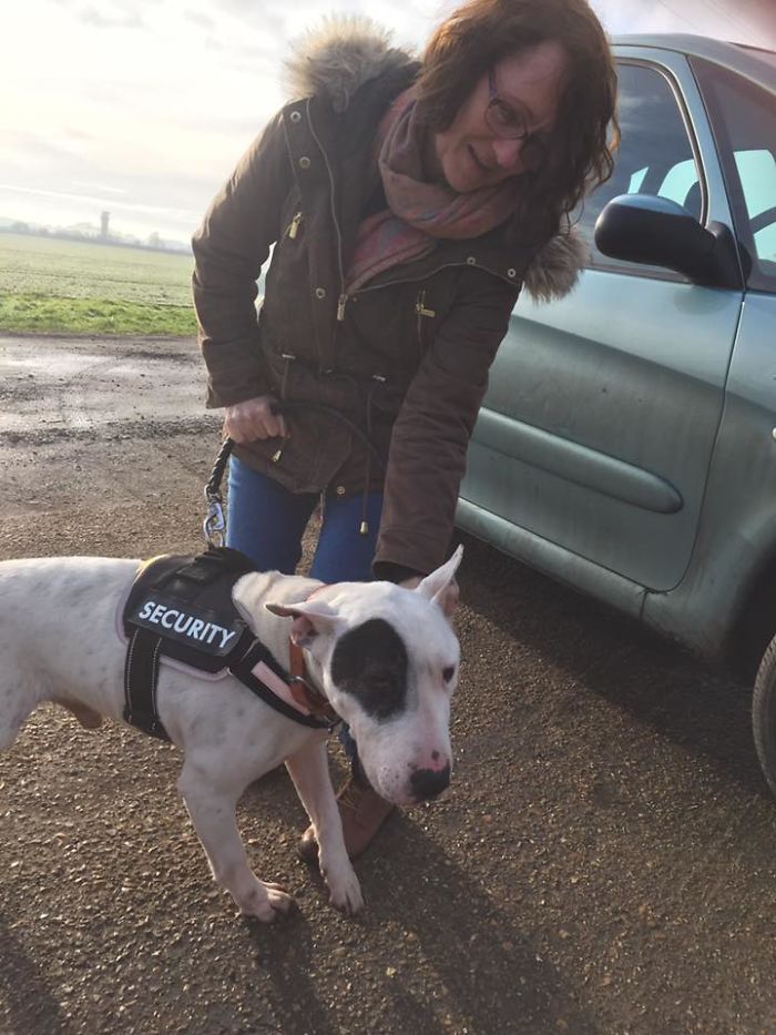 Husband Fed Up With The 30 Dogs His Wife Pets Asks Her To Choose Him Or The Dogs, And Probably Regrets It Afterwards