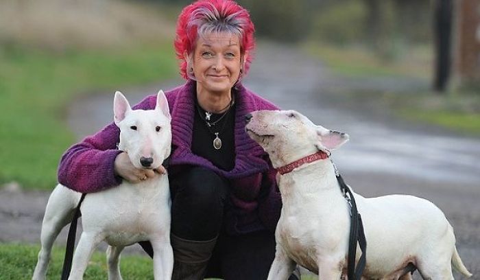 Husband Fed Up With The 30 Dogs His Wife Pets Asks Her To Choose Him Or The Dogs, And Probably Regrets It Afterwards Husband Fed Up With The 30 Dogs His Wife Pets Asks Her To Choose Him Or The Dogs, And Probably Regrets It Afterwards