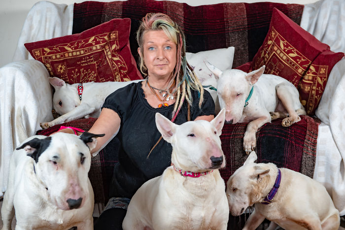 Husband Fed Up With The 30 Dogs His Wife Pets Asks Her To Choose Him Or The Dogs, And Probably Regrets It Afterwards Husband Fed Up With The 30 Dogs His Wife Pets Asks Her To Choose Him Or The Dogs, And Probably Regrets It Afterwards