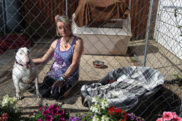 Husband Fed Up With The 30 Dogs His Wife Pets Asks Her To Choose Him Or The Dogs, And Probably Regrets It Afterwards Husband Fed Up With The 30 Dogs His Wife Pets Asks Her To Choose Him Or The Dogs, And Probably Regrets It Afterwards