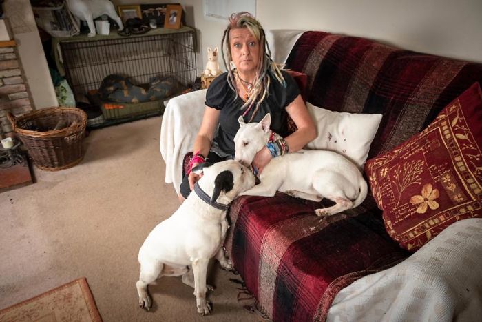 Husband Fed Up With The 30 Dogs His Wife Pets Asks Her To Choose Him Or The Dogs, And Probably Regrets It Afterwards