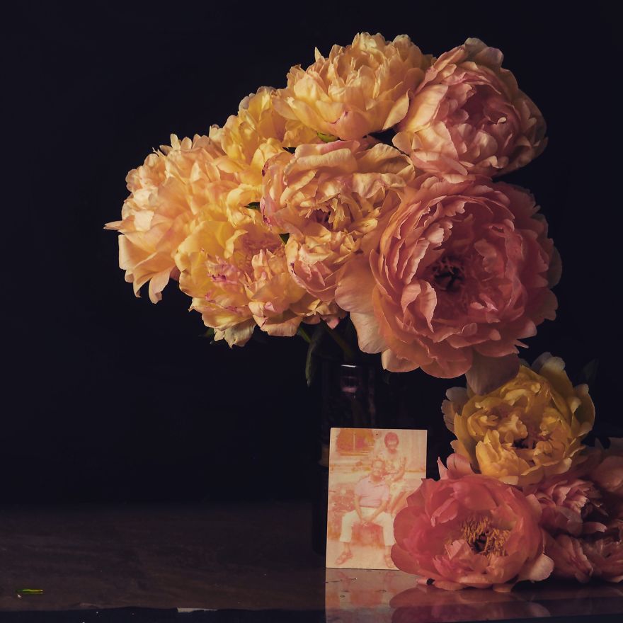 I Photograph Flowers With Dutch Light