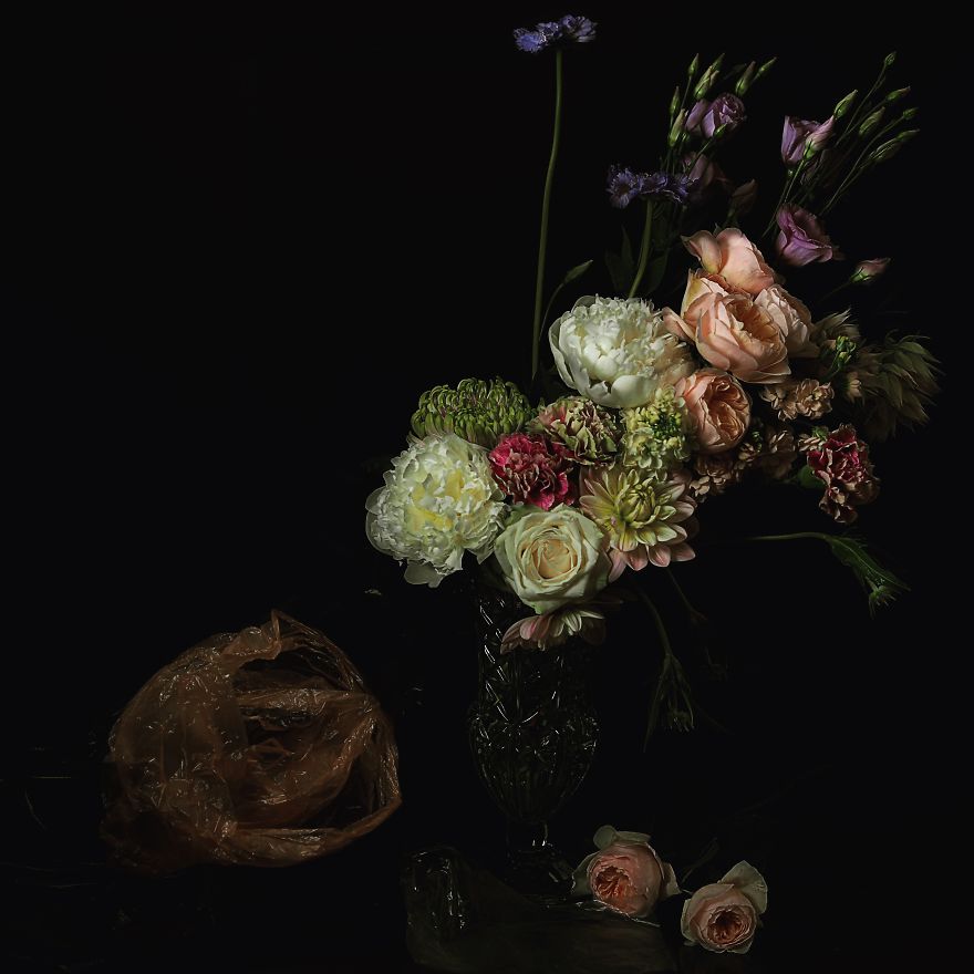I Photograph Flowers With Dutch Light