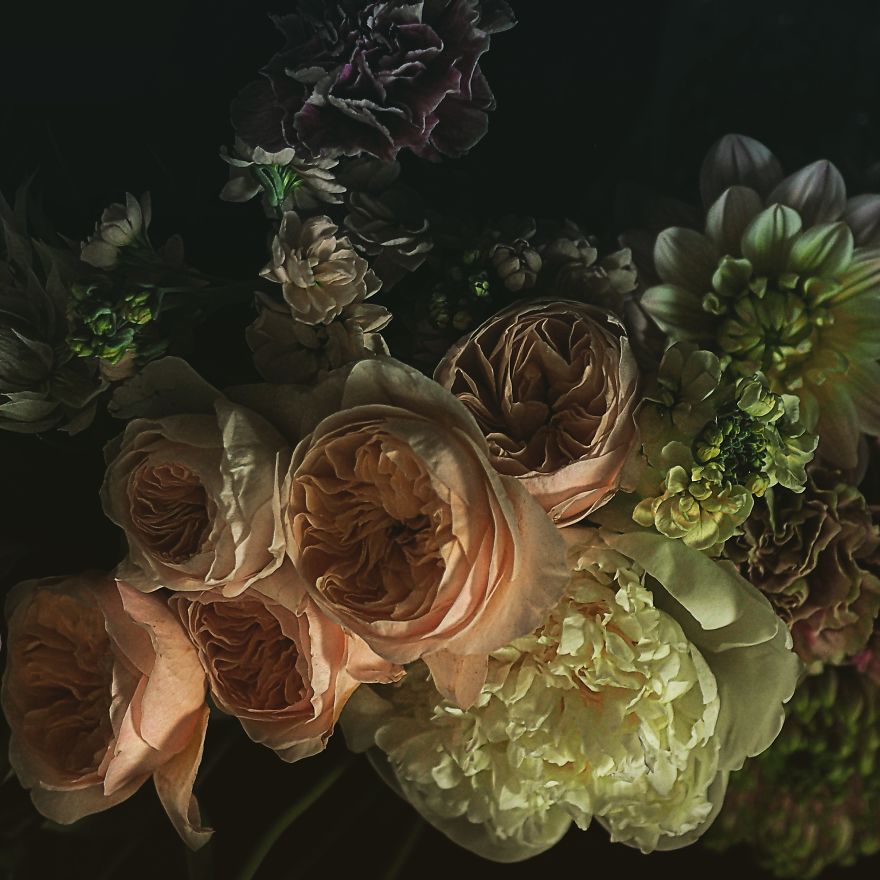 I Photograph Flowers With Dutch Light