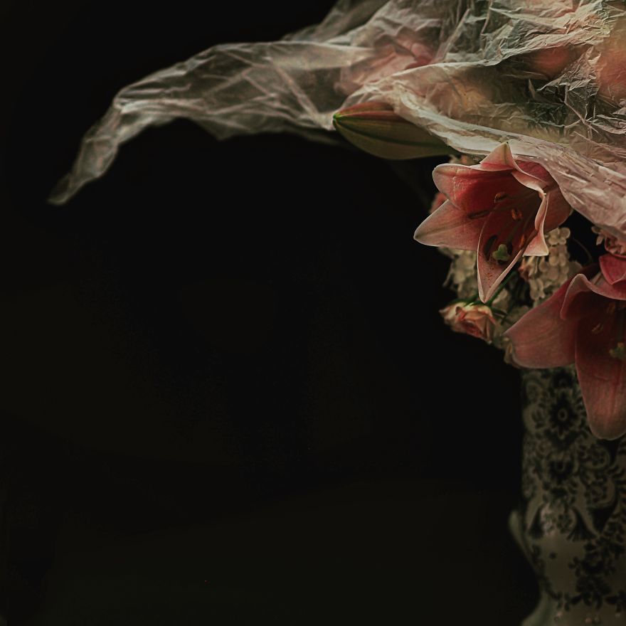 I Photograph Flowers With Dutch Light I Photograph Flowers With Dutch Light