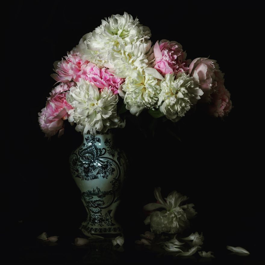 I Photograph Flowers With Dutch Light I Photograph Flowers With Dutch Light