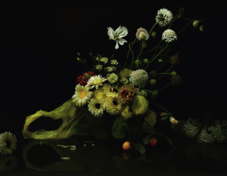 I Photograph Flowers With Dutch Light I Photograph Flowers With Dutch Light