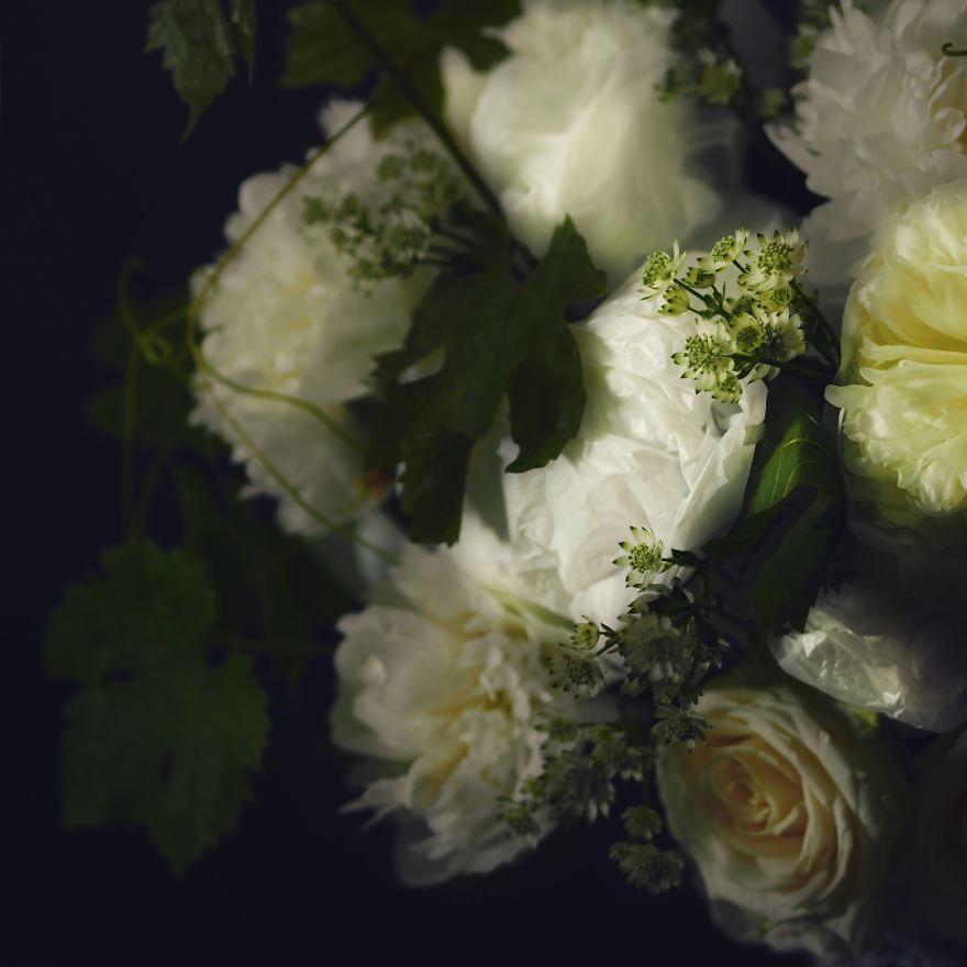 I Photograph Flowers With Dutch Light I Photograph Flowers With Dutch Light