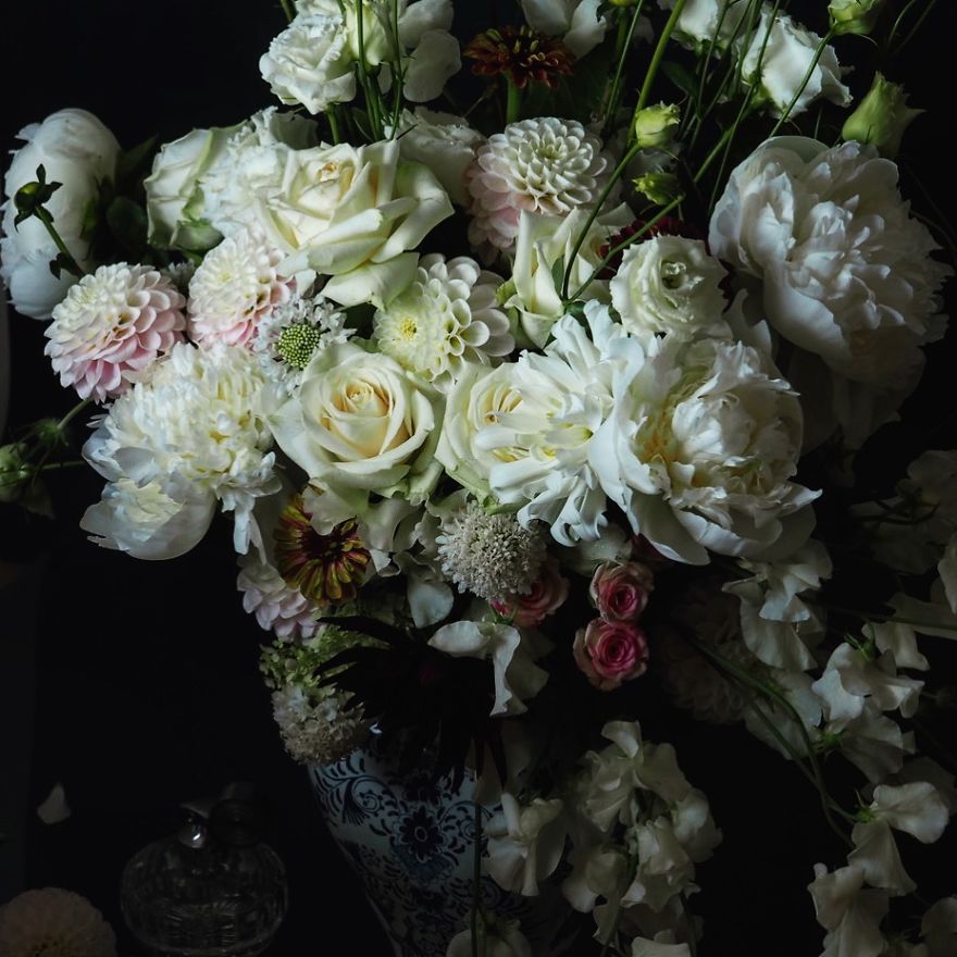 I Photograph Flowers With Dutch Light