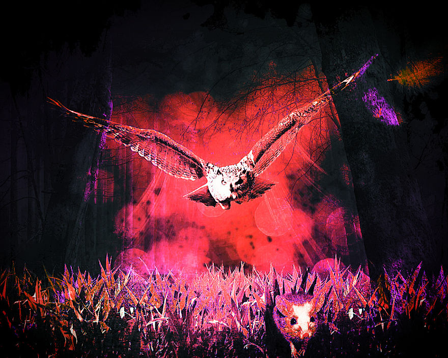 I Create New Photos With Photofox