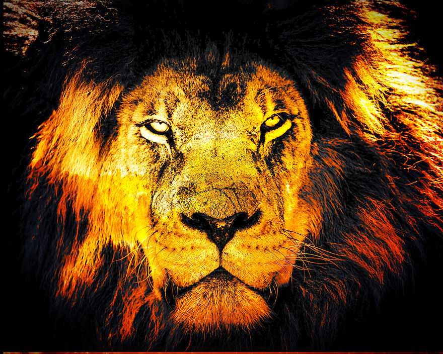 I Create New Photos With Photofox