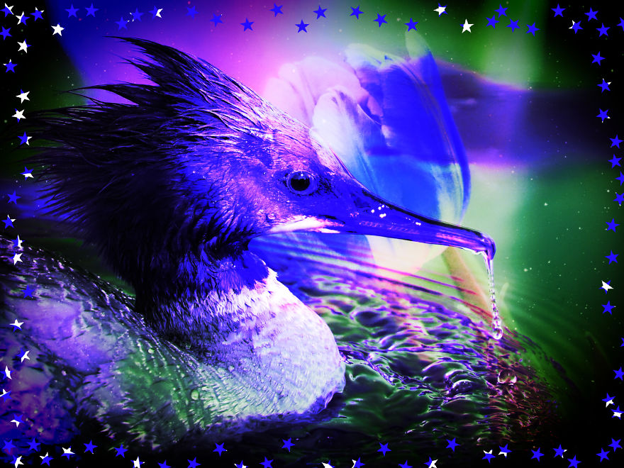 I Create New Photos With Photofox