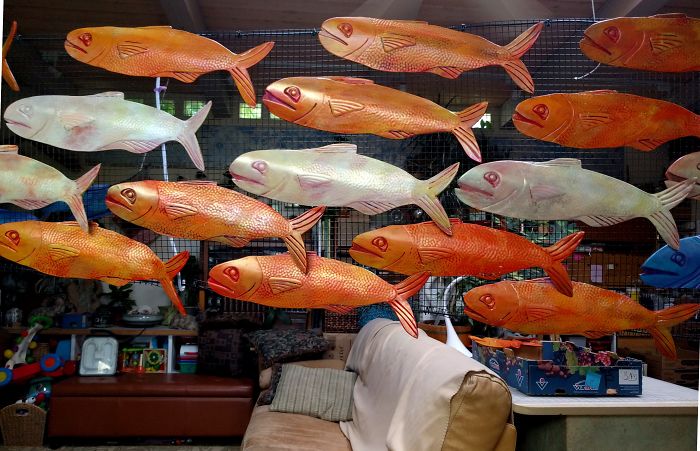 I Helped People With Blindness And Multiple Disabilities Create A 14 Foot Tall Fishnado!