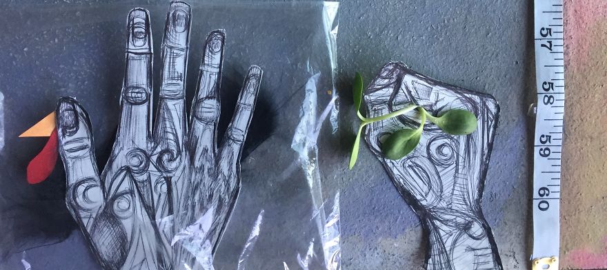 Here's Why You Should Eat Less Meat: A Visual Argument Here's Why You Should Eat Less Meat: A Visual Argument