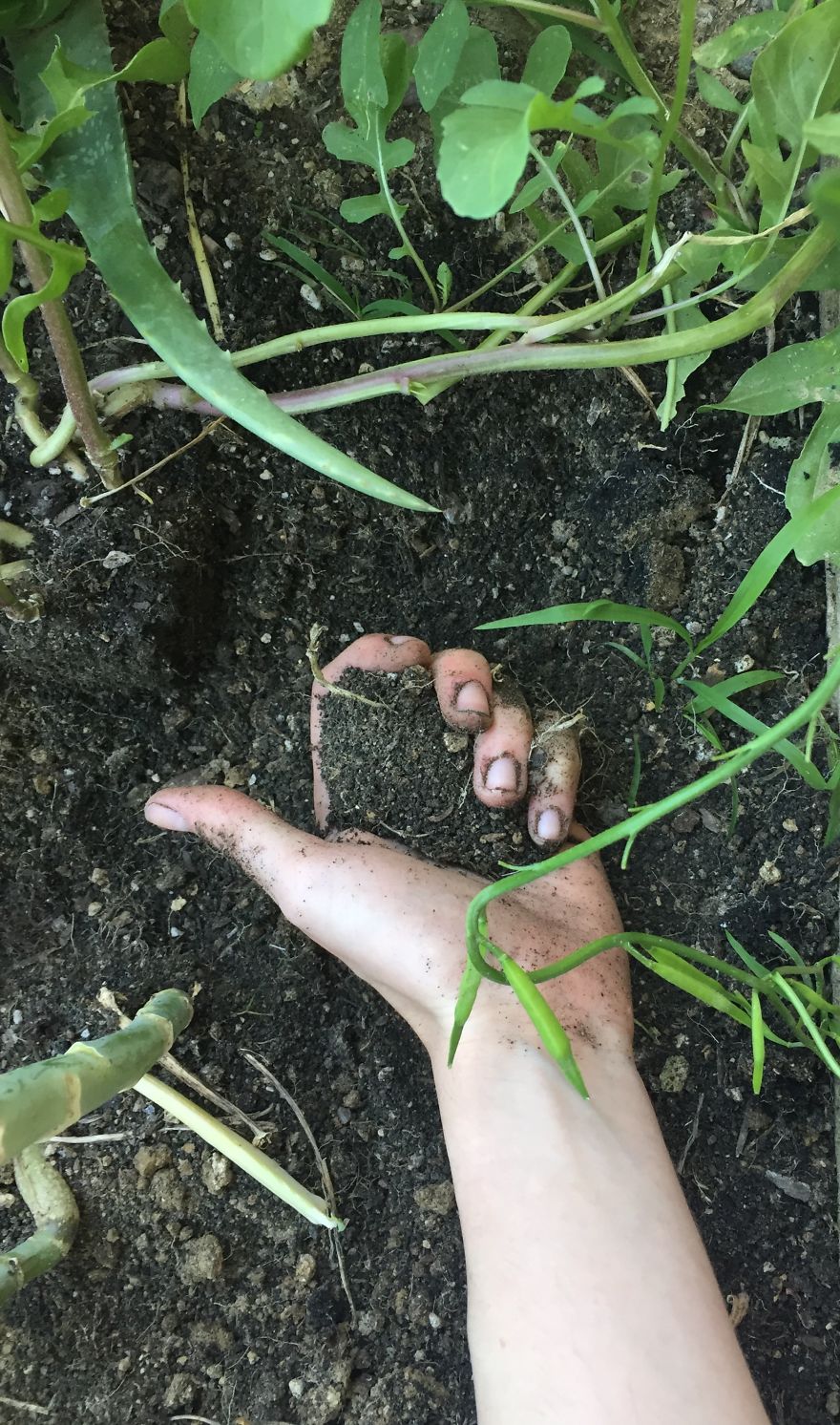 Here's Why You Should Eat Less Meat: A Visual Argument Here's Why You Should Eat Less Meat: A Visual Argument