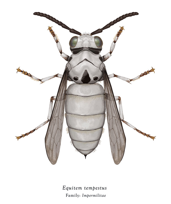 Star Wars Insects