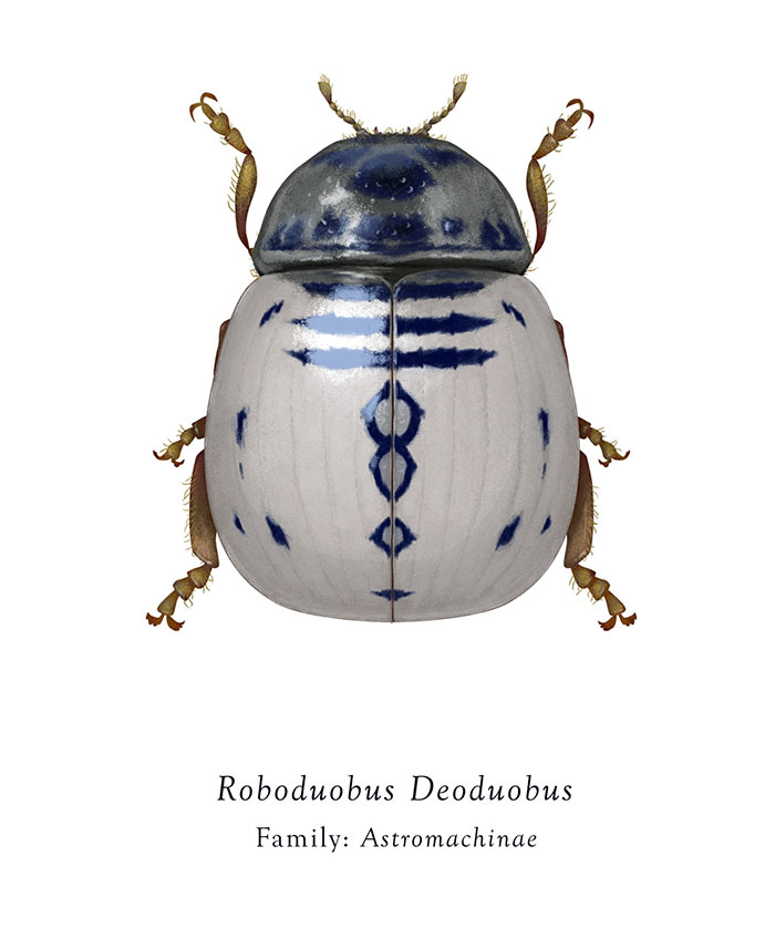 Star Wars Insects