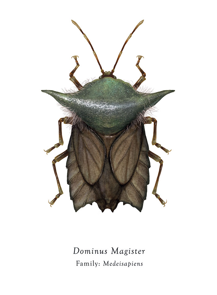 Star Wars Insects