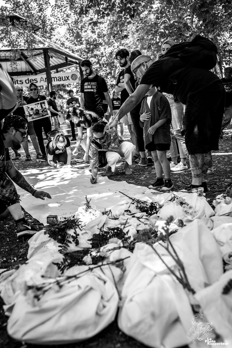 On Sunday, June 3rd 2018 At 12:55pm, A Group Of Extremists Convinced That The Lives Of Animal Are More Valuable Than The Taste Of Their Flesh Was Signing A Declaration Of Animal Rights