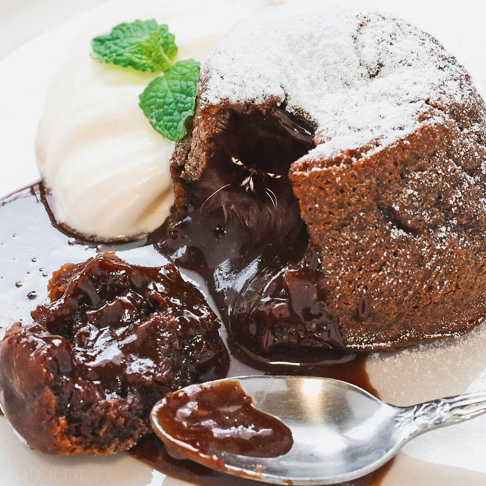 I Photoshop Cats Into Food