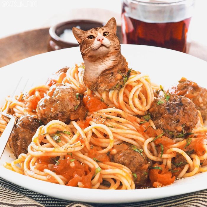 I Photoshop Cats Into Food