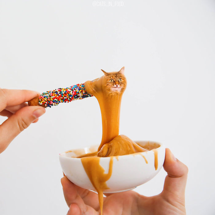 I Photoshop Cats Into Food