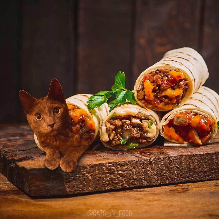 I Photoshop Cats Into Food