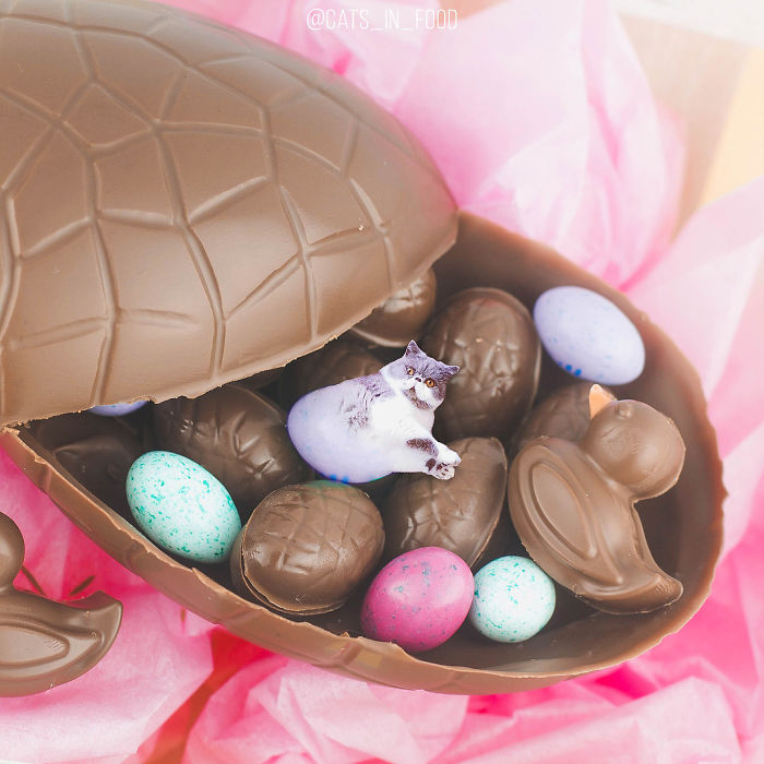 I Photoshop Cats Into Food