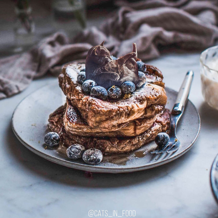 I Photoshop Cats Into Food