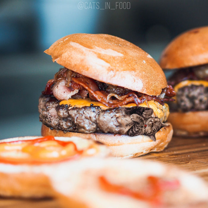 I Photoshop Cats Into Food